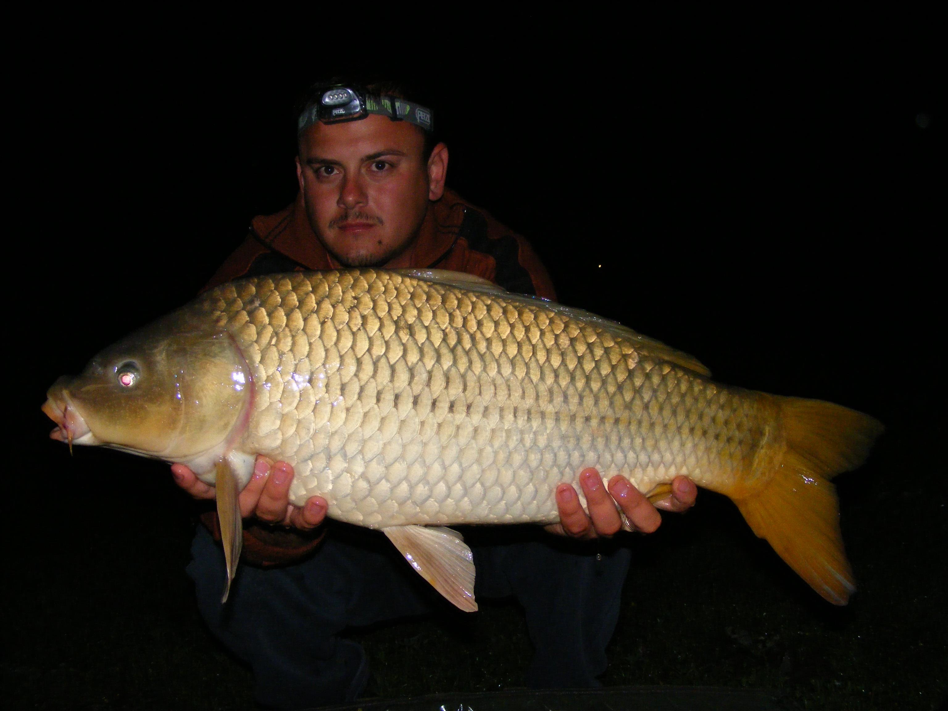 Nagykallo,13-17.05.2012  - DSCF5635.JPG